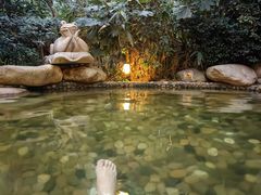 -天目湖涵田半山温泉