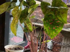 -如果·追梦手工皮具DIY教学店(田子坊店)