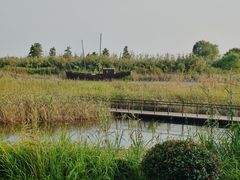 -苏州太湖湖滨国家湿地公园