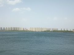 -丁香湖公园