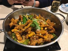-靓蛙馆