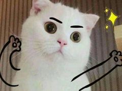 -阿政粤小馆(中央大街店)