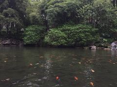 -柳侯公园