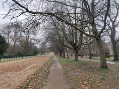 -海德公园