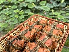 -七的湖·晚芳亭·阳澄湖农家菜·大闸蟹(莲花岛店)