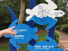 -广东惠东海龟国家级自然保护区