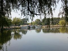 劳动湖-二一九公园