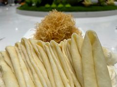 -丁老爷子苏香圆