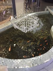 -Sunny喜铺婚礼策划(东部店)