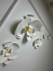 -babiline芭比莱恩半永久纹眉纹唇发际线