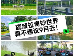 -森波拉奇妙世界