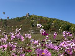 -克什克腾世界地质公园青山景区