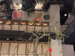 -桂满陇·海市蜃楼·黑金(国金店)