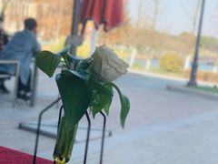 -Bistro181 (大渔湾店)