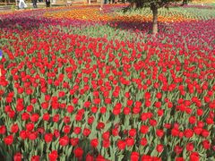 -长春公园(普阳街道)