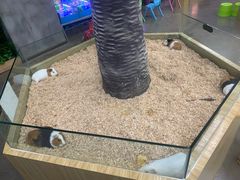 -昆明大悦城未来动物城(螺蛳湾中心店)