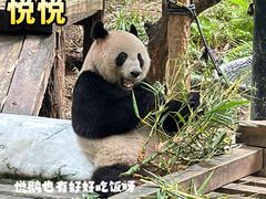 -广州长隆野生动物世界