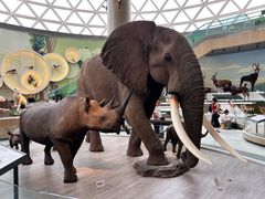 -陕西自然博物馆