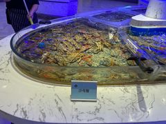 -澜悦港海鲜体验主题餐厅