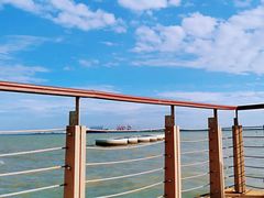 -东疆建设开发纪念公园