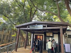 -马王堆汉墓遗址