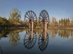 -泗洪洪泽湖湿地景区