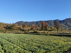 -塔川景区
