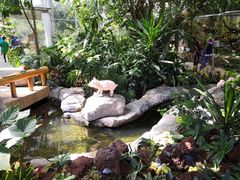 -北京植物园-展览温室