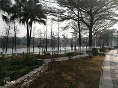 -东莞植物园