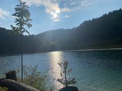 -武陵山森林公园