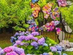 -上海共青森林公园