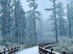 -瓦屋山景区