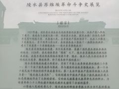 -陵水黎族自治县苏维埃政府旧址