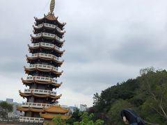 -仙岳公园