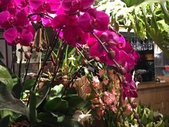 -春暖花开(西溪店)