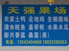-天强农家菜馆