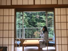 -箱根Pax吉野酒店