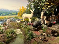 -陕西自然博物馆