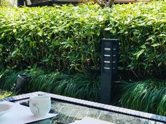 -荷风细雨·中国茶宴(碧云店)