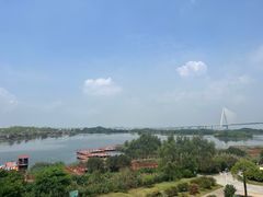 -芒洲湿地公园