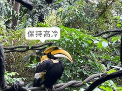 -广州长隆野生动物世界
