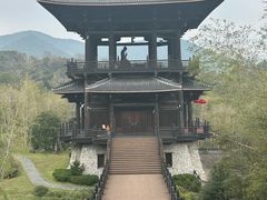 -大唐贡茶院