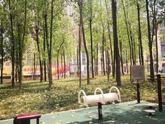-府河摄影公园