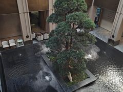 -外滩·云南人家(昆明旗舰店)