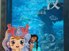 -海合安武汉极地海洋公园