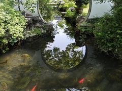 -上海醉白池公园