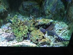 -左海海底世界