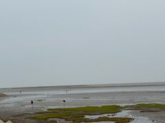 -奉贤海滩