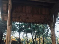 -缥缈峰景区