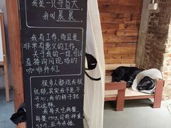-手心咖啡
